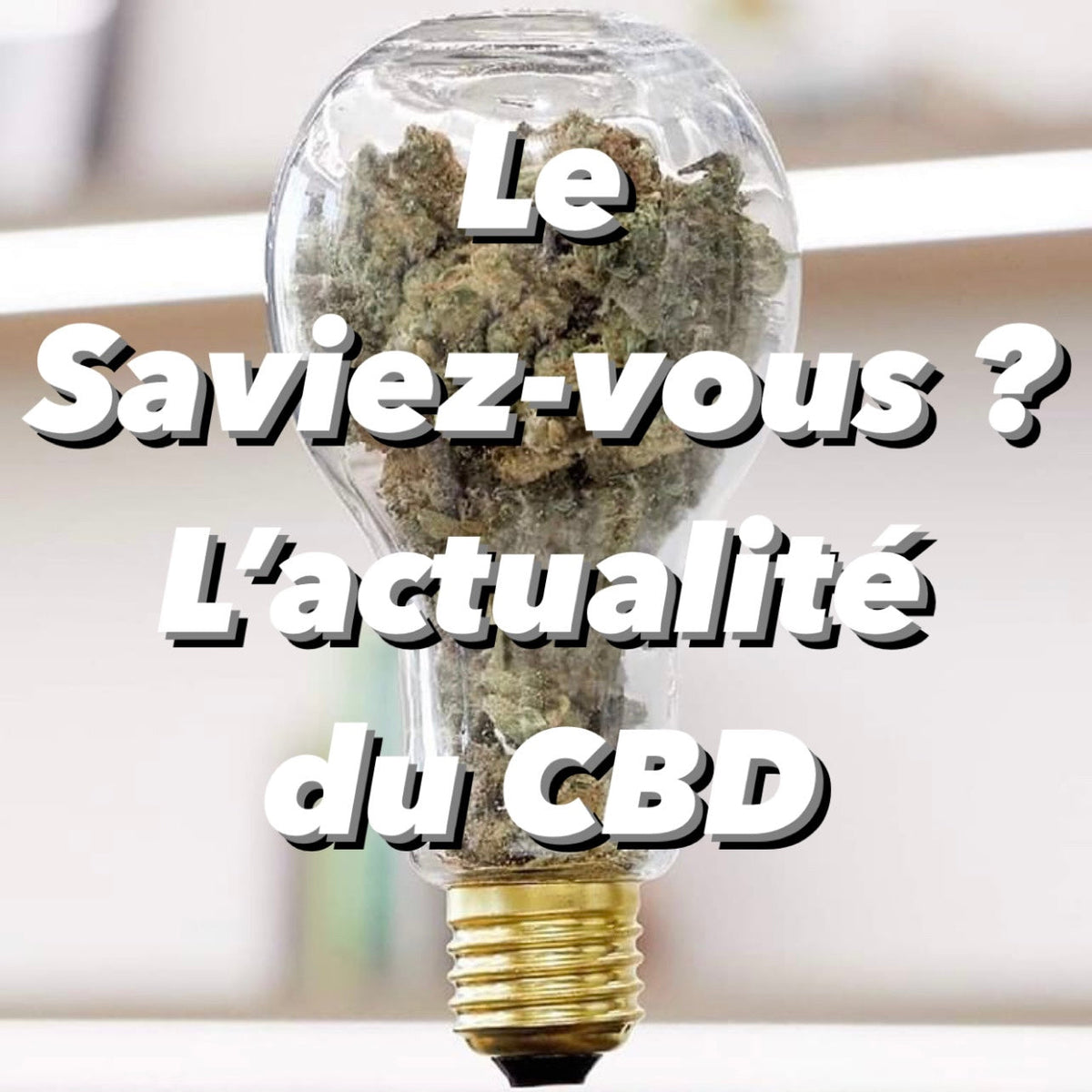 cbd informations