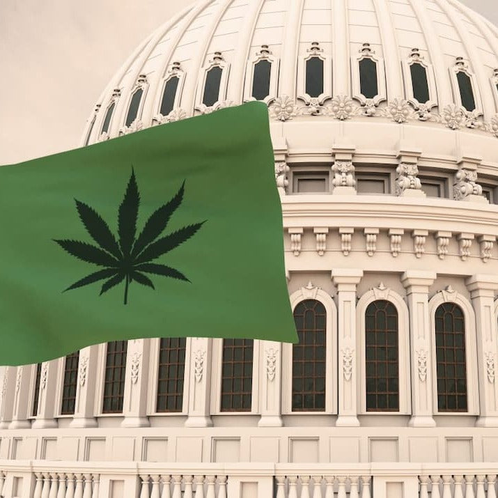 États-Unis : un projet de loi pourrait bannir le CBD – Analyse et conséquences