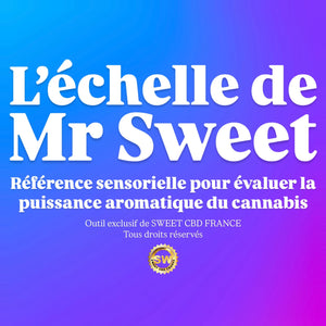 L’Échelle de Mr Sweet – Une Référence Sensorielle Unique pour la Dégustation de Cannabis