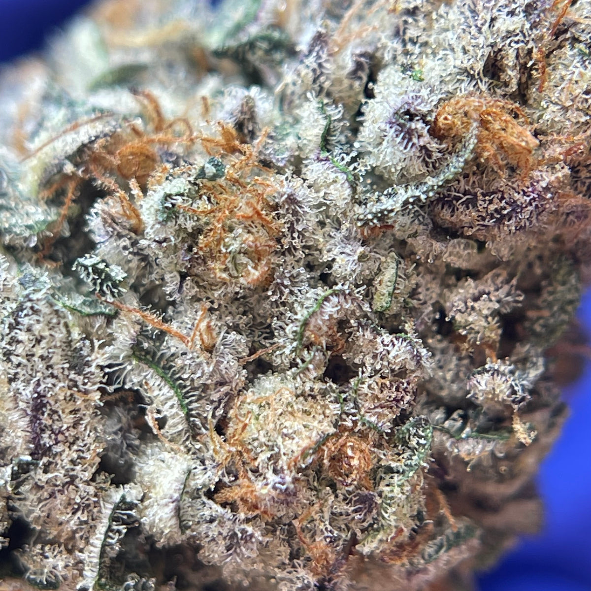 Fleurs CBD haute qualité Françaises et Européennes | HIGH GRADE CBD | Top Sélection CBD | Trim CBD