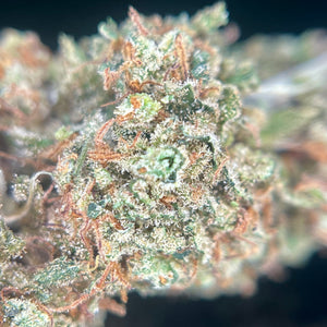BURNT ORANGE | HIGH GRADE CBD | Cultivée en Indoor Organique par “Happy Pousse”