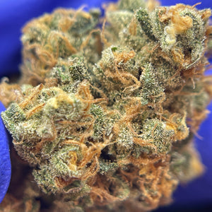 FELIX OG | HIGH GRADE CBD | Cultivée en Indoor Organique par "Les Jardins de Julien CBD"