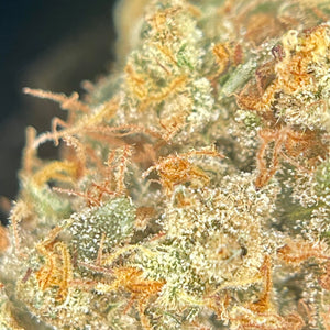 BURNT ORANGE | HIGH GRADE CBD | Cultivée en Indoor Organique par “Happy Pousse”