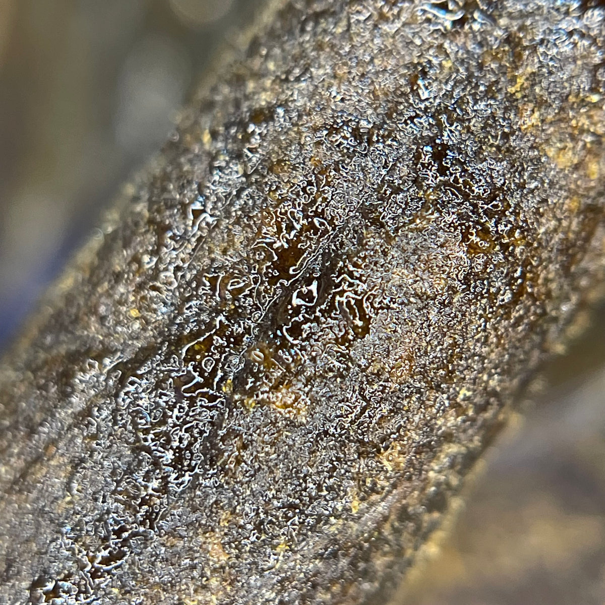 MONKEY GAZ, résine CBD — détail de la surface et de la texture