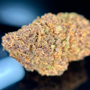 COUNTRY SKUNK | HIGH GRADE CBD | Culture Organique par "ALPINE CALI"