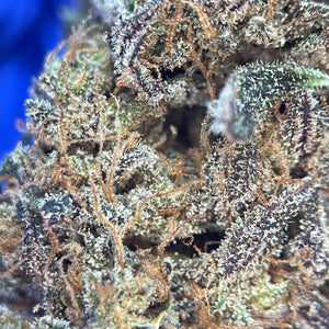 SHAO x OZK | HIGH GRADE CBD | Cultivée en Indoor Organique par "APEX CBD"