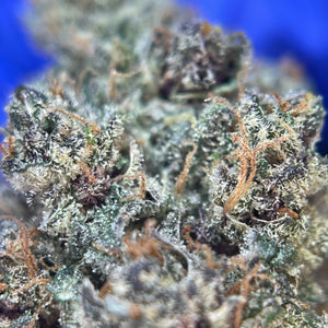 SWEET TARTS | HIGH GRADE CBD | Cultivée en Indoor Organique par "KANAB’YO"