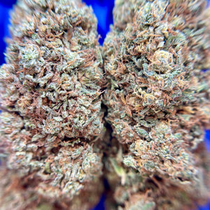 ALLIUM OG | HIGH GRADE CBD | Light Dep Culture | Collab Les Plantes de Tomine x Terpz en Herbe