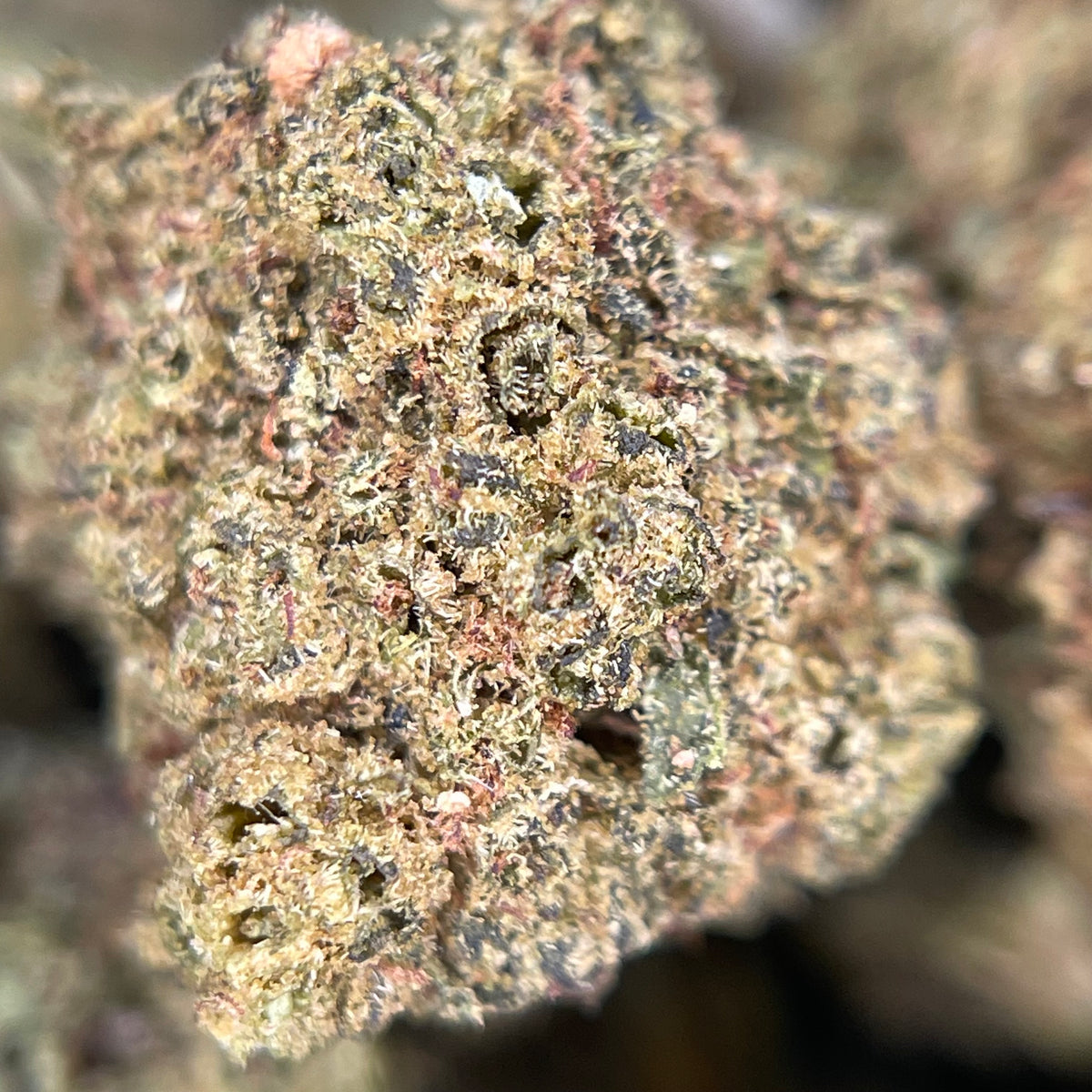 GOAT BUTTER, fleurs CBD — fleurs présentées en gros plan