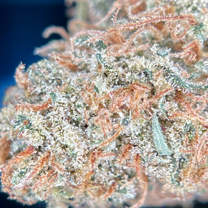 ALPIN MERINGZ | HIGH GRADE CBD | Cultivée en Indoor Organique par “Happy Pousse”