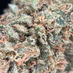 WILD CANDY | HIGH GRADE CBD | Cultivée en Indoor sur sol vivant par "Les Jardins de Julien CBD"