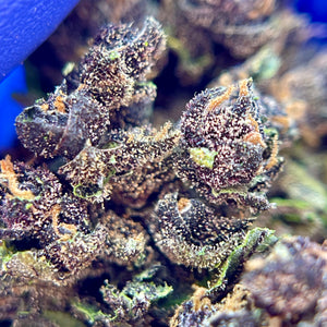 BLOOD ORANGE DIESEL | HIGH GRADE CBD | Cultivée en Green House Organique par “Happy Pousse”