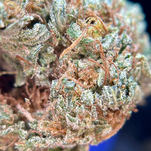 ALLIUM OG | HIGH GRADE CBD | Light Dep Culture | Collab Les Plantes de Tomine x Terpz en Herbe