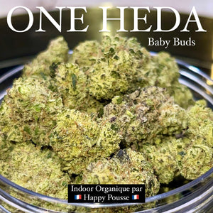 ONE HEDA | Baby Buds | Indoor | Cultivée par “Happy Pousse”