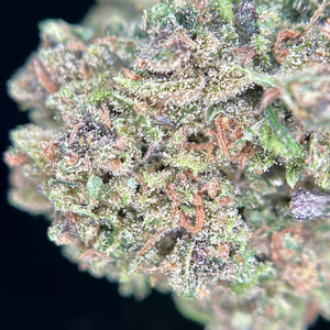GUMYZ | HIGH GRADE CBD | Light Dep Culture | Collab Les Plantes de Tomine x Terpz en Herbe