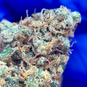 BURNT ORANGE | HIGH GRADE CBD | Cultivée en Indoor Organique par “Happy Pousse”