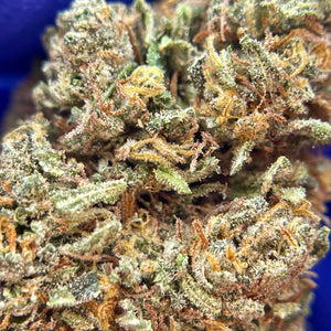 SKUNK JAM | HIGH GRADE CBD | Light Dep Culture | Collab Les Plantes de Tomine x Terpz en Herbe