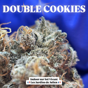 DOUBLE COOKIES | HIGH GRADE CBD | Cultivée en Indoor sur sol vivant par "Les Jardins de Julien CBD"