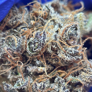 MACARON GAZ | HIGH GRADE CBD | Cultivée en Indoor Organique par "APEX CBD"
