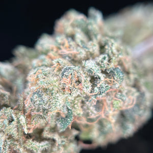 WILD CANDY | HIGH GRADE CBD | Cultivée en Indoor sur sol vivant par "Les Jardins de Julien CBD"