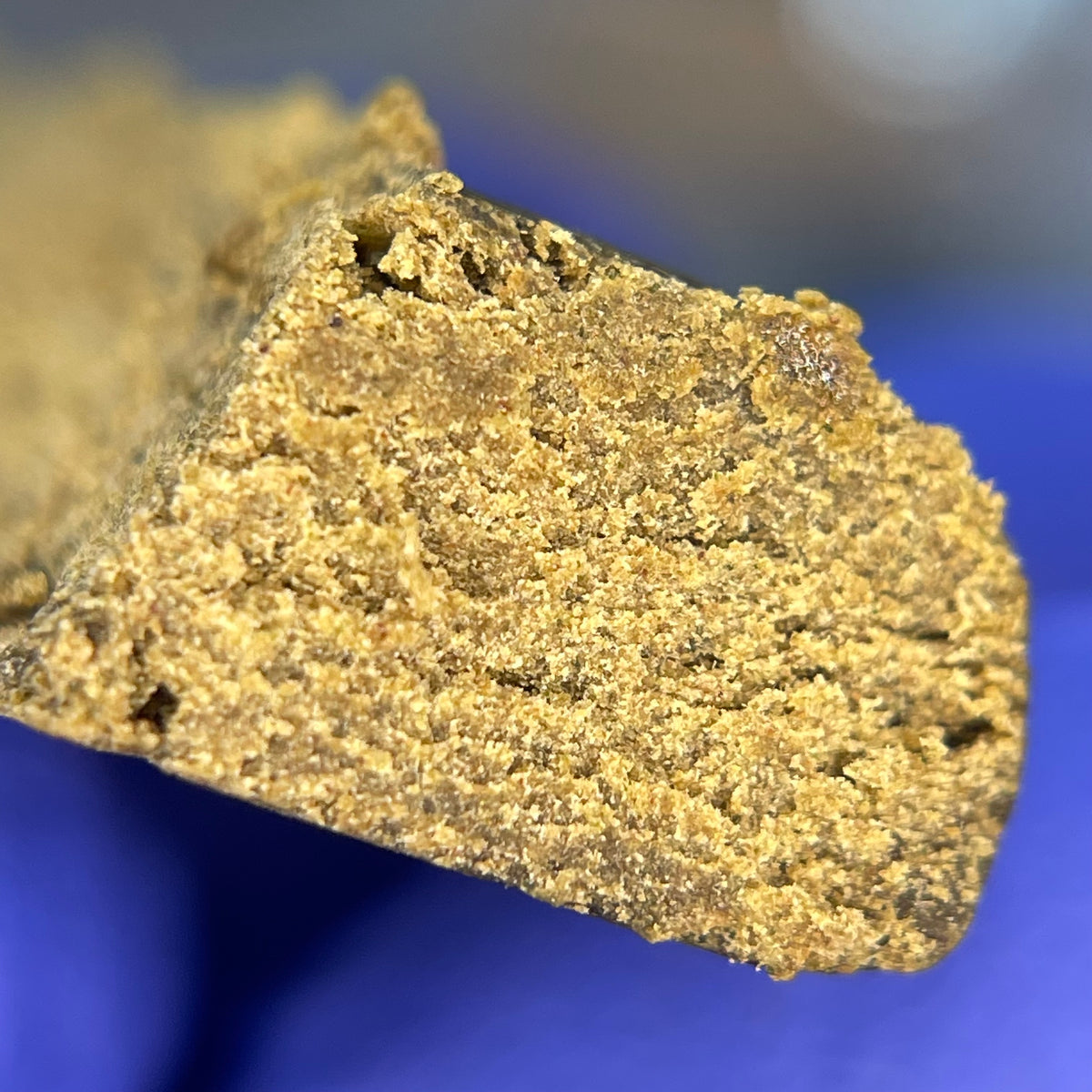 WPFF SKUNK JAM, hash CBD Fresh Frozen — hash présenté en main gantée