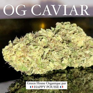 OG CAVIAR | HIGH GRADE CBD | Cultivée en Green House Organique par “Happy Pousse”