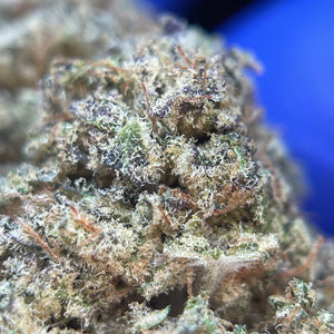 DARK SAPHIR | HIGH GRADE CBD | Cultivée en Indoor Organique par “Happy Pousse”