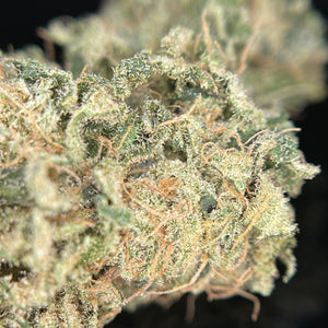 SOUR HAWAIIAN HAZE | HIGH GRADE CBD | Cultivée en Indoor sur sol vivant par "Les Jardins de Julien CBD"