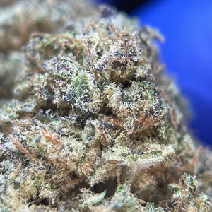 DARK SAPHIR | HIGH GRADE CBD | Cultivée en Indoor Organique par “Happy Pousse”