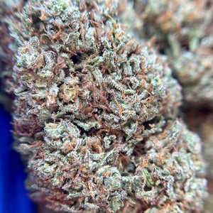 ALLIUM OG | HIGH GRADE CBD | Light Dep Culture | Collab Les Plantes de Tomine x Terpz en Herbe