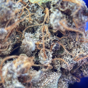 MACARON GAZ | HIGH GRADE CBD | Cultivée en Indoor Organique par "APEX CBD"