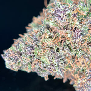 YAK PUDDING | HIGH GRADE CBD | Light Dep Culture | Collab Les Plantes de Tomine x Terpz en Herbe