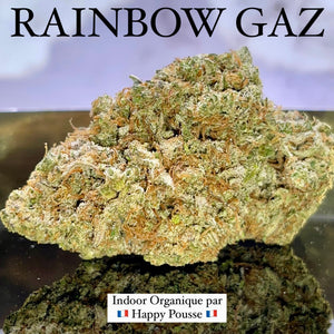 RAINBOW GAZ | HIGH GRADE CBD | Cultivée en Indoor Organique par “Happy Pousse”