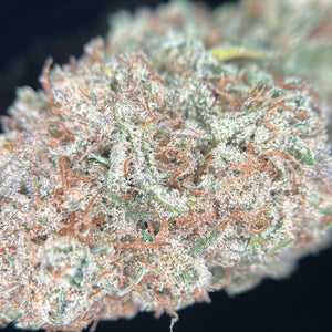FOREST GUSH | HIGH GRADE CBD | Cultivée en Indoor Organique par “Happy Pousse”