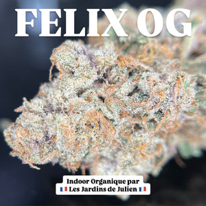 FELIX OG | HIGH GRADE CBD | Cultivée en Indoor Organique par "Les Jardins de Julien CBD"