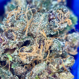 BLUE HEAVEN | HIGH GRADE CBD | Cultivée en Indoor Organique par "APEX CBD"