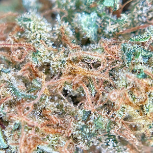 ALPIN MERINGZ | HIGH GRADE CBD | Cultivée en Indoor Organique par “Happy Pousse”