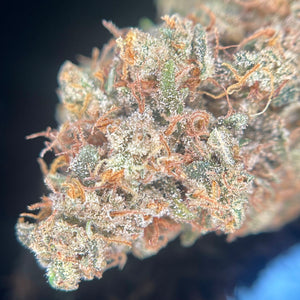 BURNT ORANGE | HIGH GRADE CBD | Cultivée en Indoor Organique par “Happy Pousse”