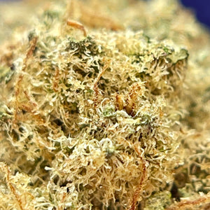 FOREST GUSH | HIGH GRADE CBD | Cultivée en Indoor Organique par “Happy Pousse”