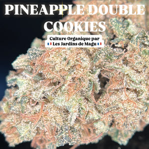PINEAPPLE DOUBLE COOKIES | HIGH GRADE CBD | Culture Organique par "Les Jardins de MAGU"