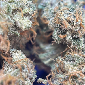 WILD ORANGE | HIGH GRADE CBD | Cultivée en Indoor Organique par "Les Jardins de Julien CBD"