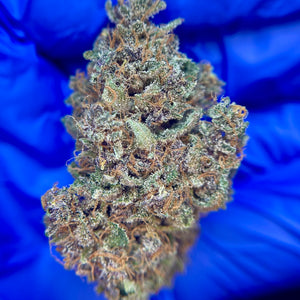 RAINBOW SHERBET | HIGH GRADE CBD | Cultivée en Indoor Organique par "APEX CBD"