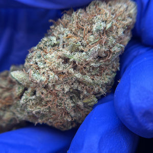 FOREST GUSH | HIGH GRADE CBD | Cultivée en Indoor Organique par “Happy Pousse”