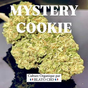 MYSTERY COOKIE | HIGH GRADE CBD | Phénotype Exclusif |Culture Organique par “BLATO CBD"