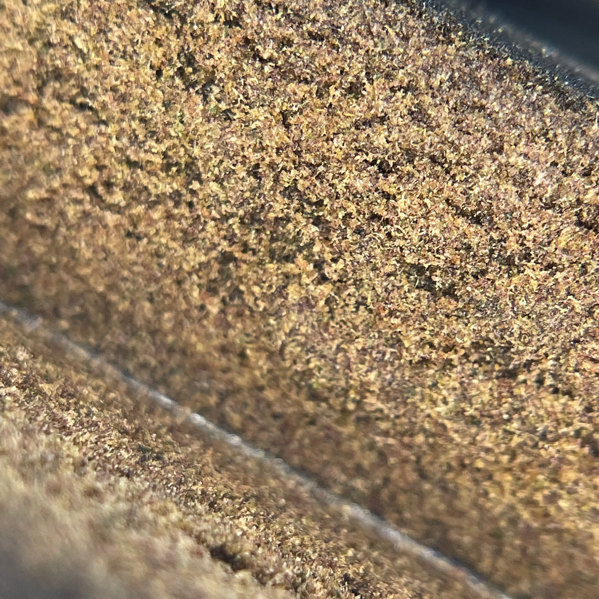 GASOLINE, résine CBD — vue rapprochée de la résine