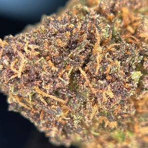 COUNTRY SKUNK | HIGH GRADE CBD | Culture Organique par "ALPINE CALI"