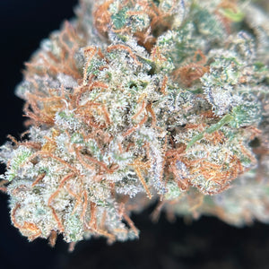 LEMON GRACE | HIGH GRADE CBD | Cultivée en Indoor Organique par “Happy Pousse”