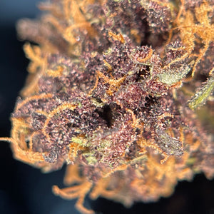TROPICAL PURPLE | HIGH GRADE CBD | Culture Organique par "Les Jardins de MAGU"