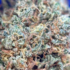 ALLIUM OG | HIGH GRADE CBD | Light Dep Culture | Collab Les Plantes de Tomine x Terpz en Herbe