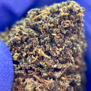 COUNTRY SKUNK | HIGH GRADE CBD | Culture Organique par "ALPINE CALI"